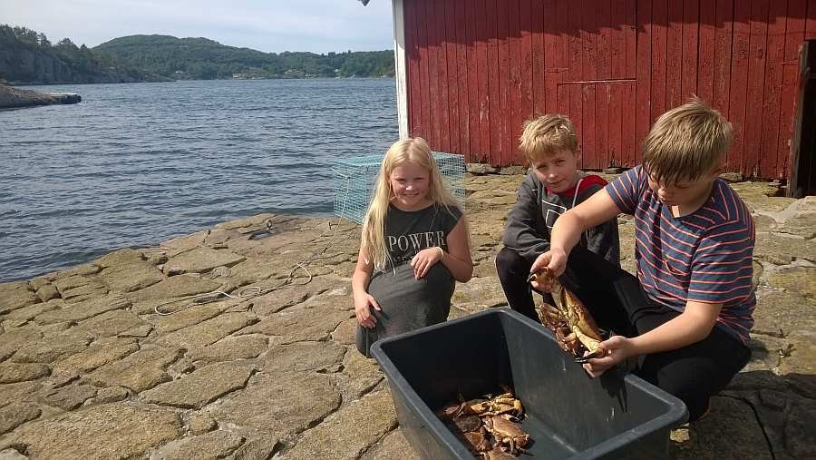 Ein riesen Spaß für Kinder - Krebse fangen direkt am Bootsliegeplatz