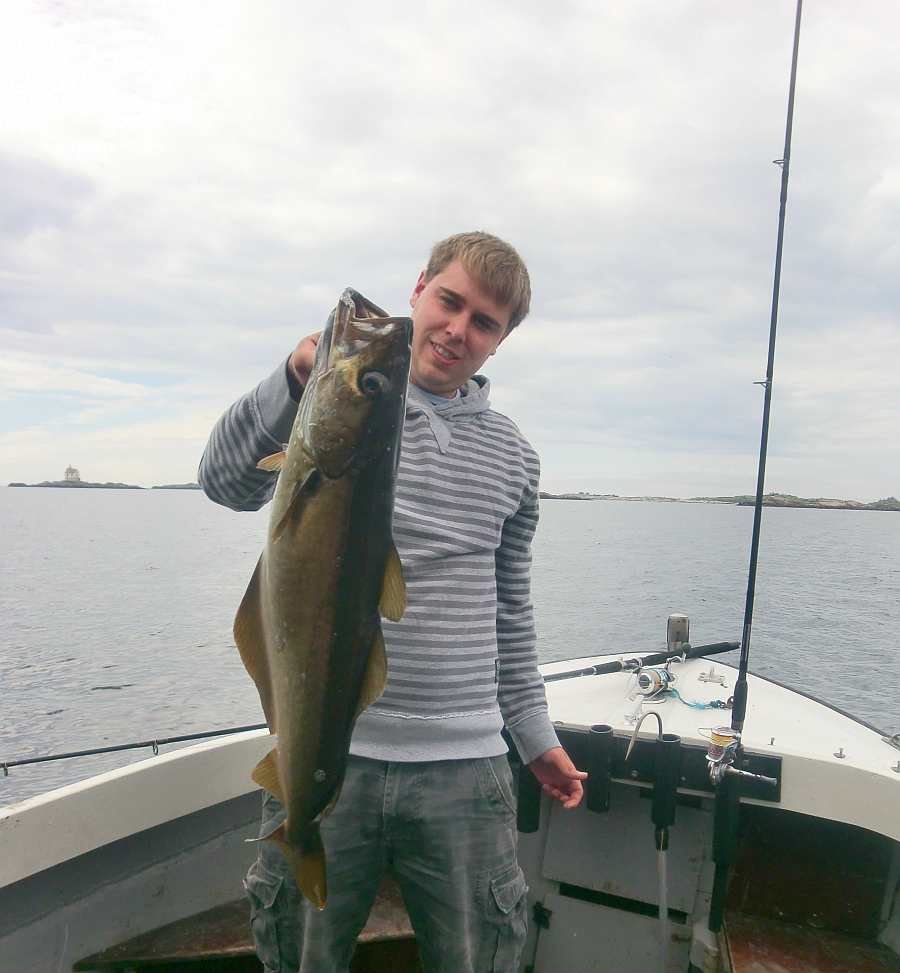 Sauber! Guter Pollack!