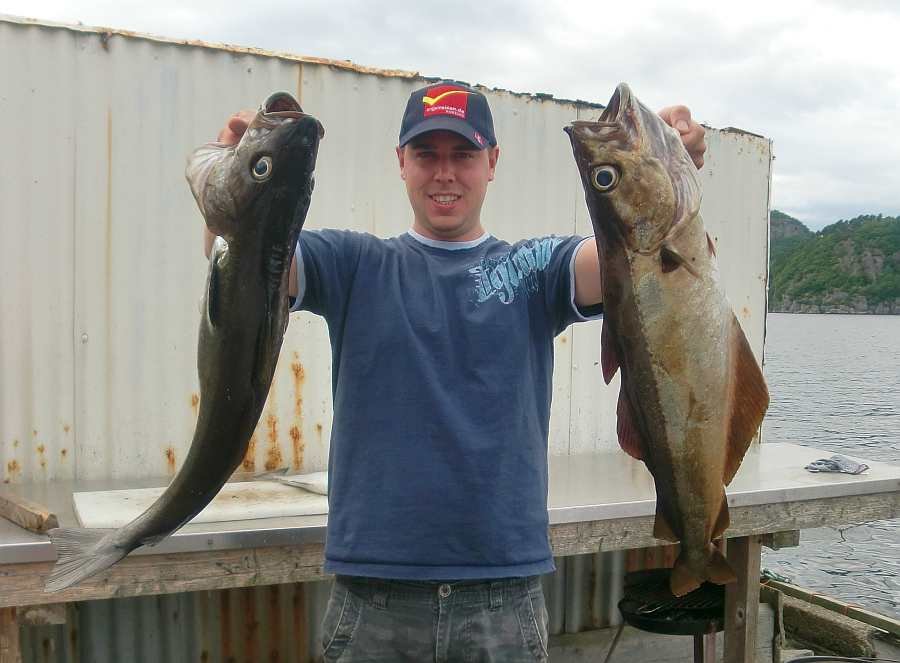 Petri! Kunde Jan zeigt wie es geht. Im Hintergrund ist der Filetiertisch direkt am Steg zu sehen