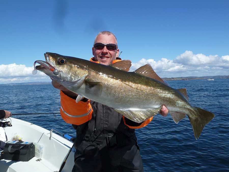 Und der ist sogar noch besser...