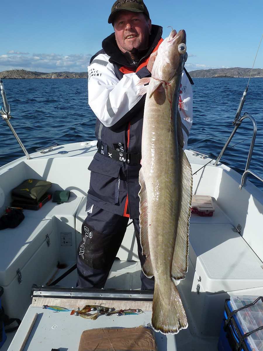 Leng beim Natürköderangeln