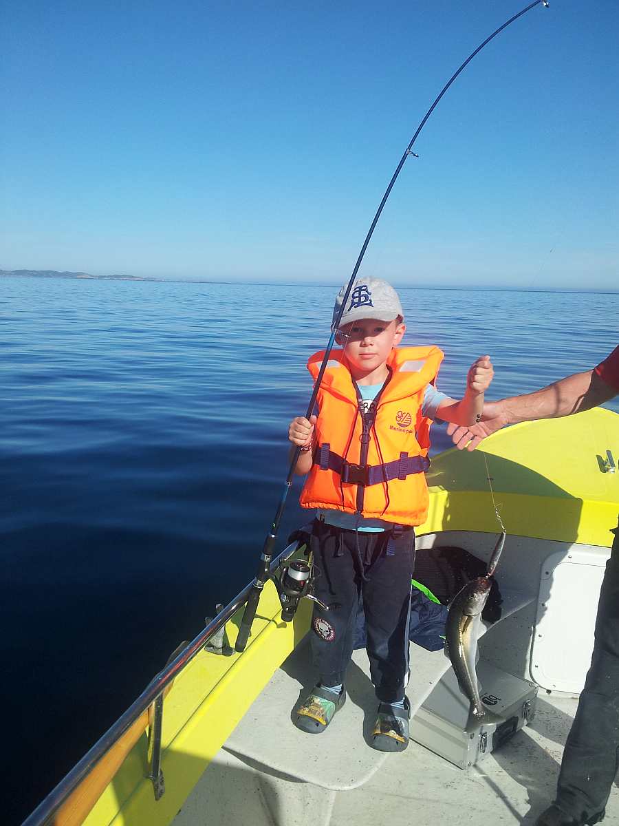 Früh übt sich der Seelachsfischer