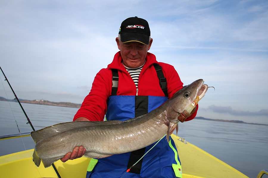 Hier gibt es zahlreiche gute Lengstellen