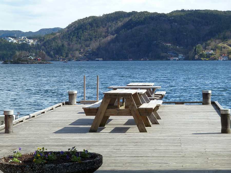 Eine große öffentliche Steganlage direkt vor dem Haus lädt zum Verweilen oder auch zum Angeln ein...