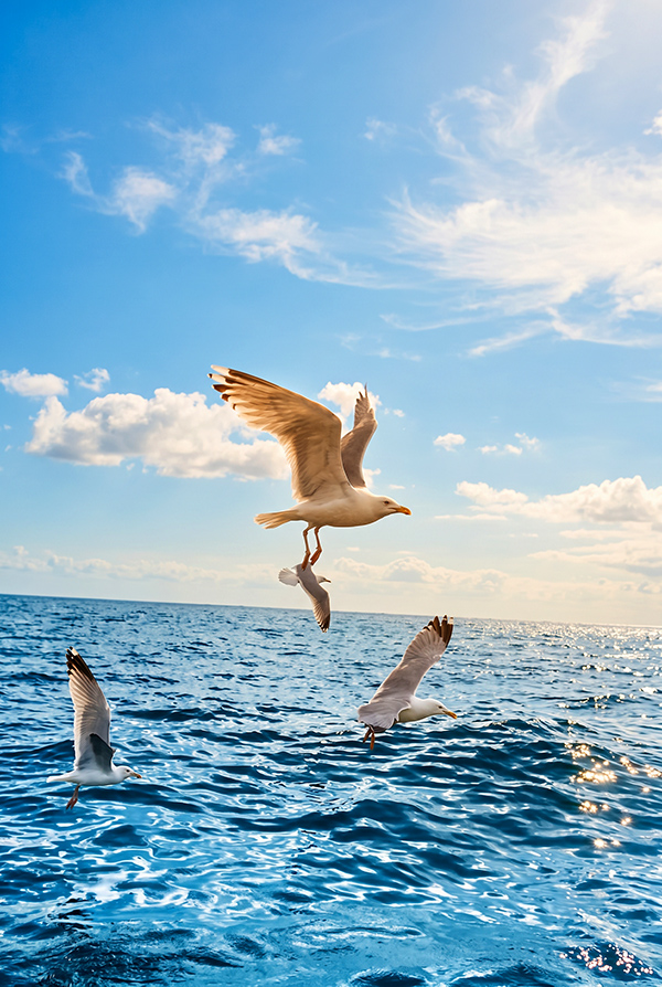 Åna Sira Sjøhus