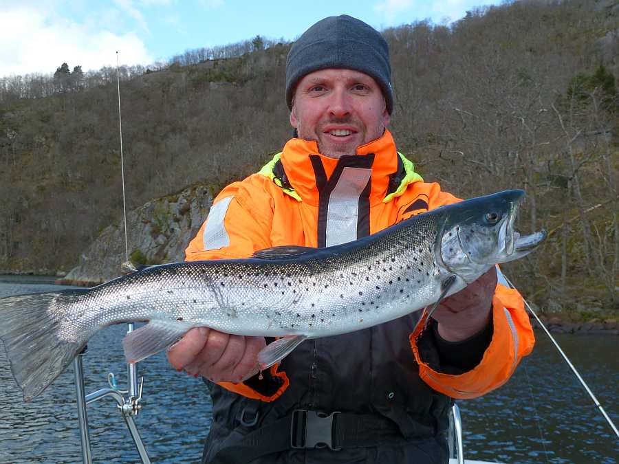 Schon im Fjord direkt bei Haus -  auch Meerforellen gibt es hier!