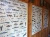 Hier im Anglerhaus >Pirat Fishing< dreht sich alles um Fische und Angeln