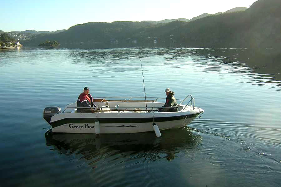 Ferienhaus Åviksveien