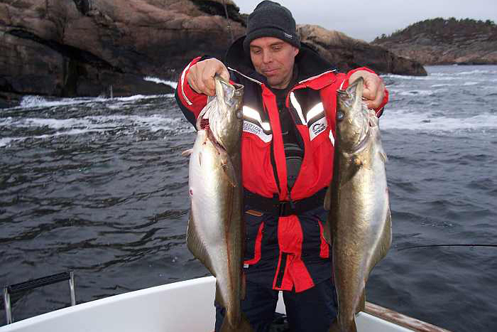 Ferienhaus Åviksveien