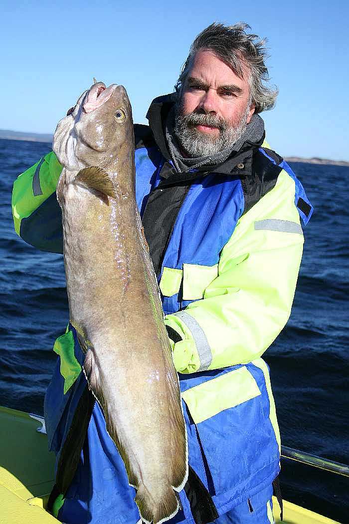 Ein schöner Lindesnes-Lumb. Das Revier beherbergt noch viele andere Fischarten. Lassen Sie sich überraschen!