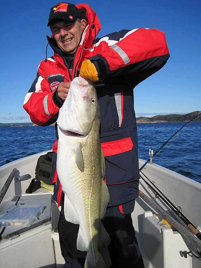 Dieses mal ist es ein Dorsch. Wer weiß, was als nächstes beißt? Im Kap Lindesnes bei Spangereid ist alles möglich.