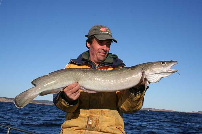 Leng auf Naturködersystem