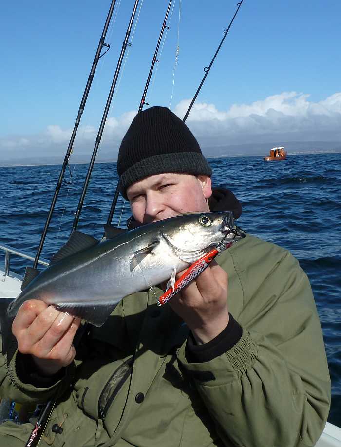 Köhler sind beinahe ganzjährig zu fangen