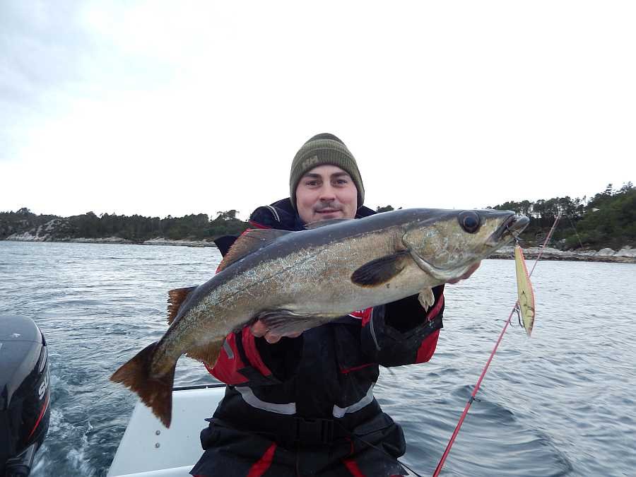 Südnorwegen-Pollack