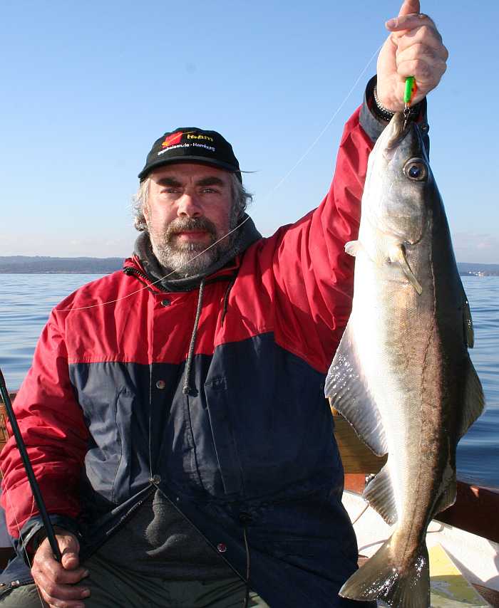 Pollack auf leichtes Geschirr im flacheren Wasser