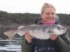 Toller Schellfisch am Fjordausgang