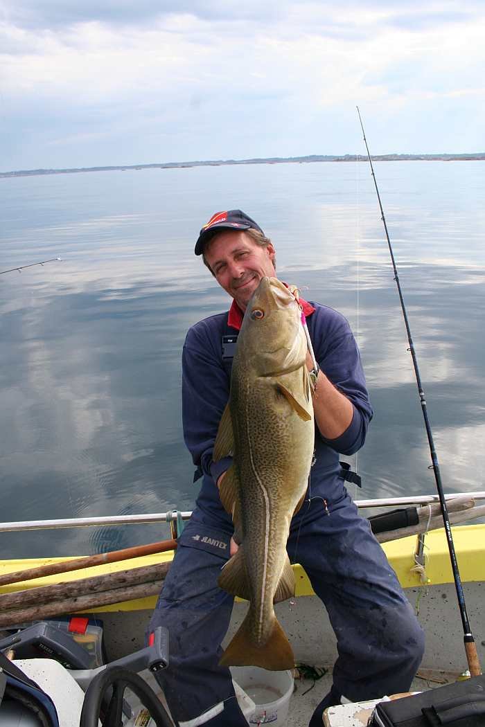 Guter Südnorwegendorsch im Frühjahr