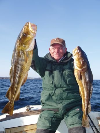 Doppelschlag in Sachen Dorsch