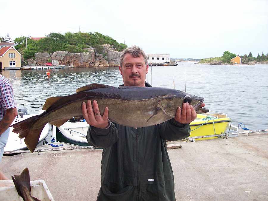 Südnorwegen ist Pollack-Land