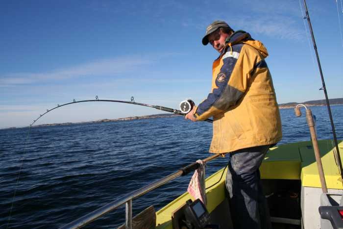 Naturköderangeln...