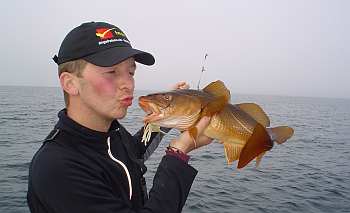 Haiko sagt auf Wiedersehen... der ist zu klein!