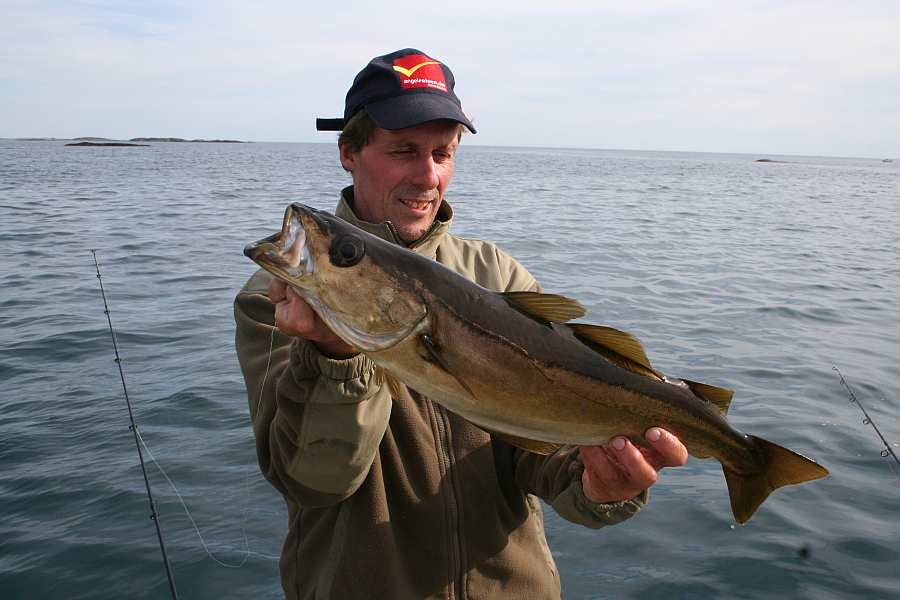 Und wieder ein Pollack