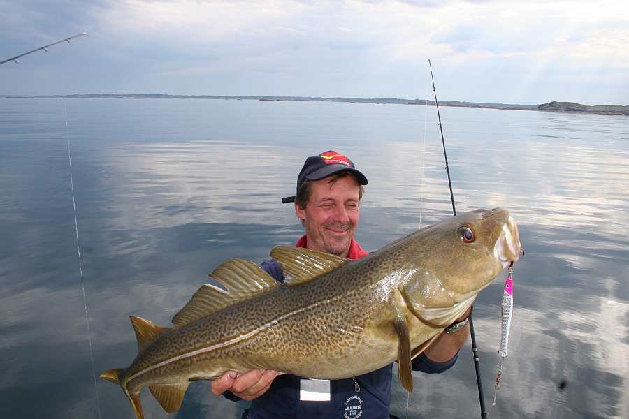 Klassisch auf Pilker im Juni