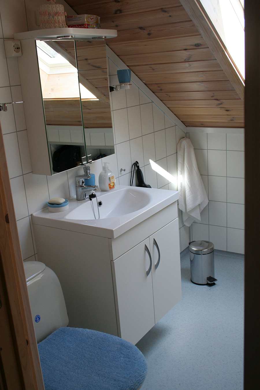 Das Bad in der Wohnung Turid mit Dusche und WC
