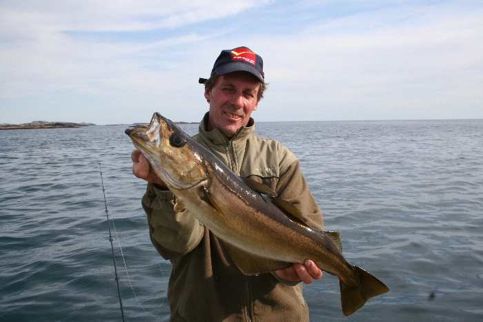Christian von Angelreisen Hamburg mit einem schönen Pollack.