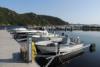 Der Bootsanleger