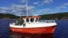 Das Dieselboot -Balder- 23 Fuß/35 PS mit Echolot, GPS/Kartenplotter und Kajüte