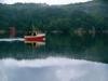 Fahrt durch den Trysfjord