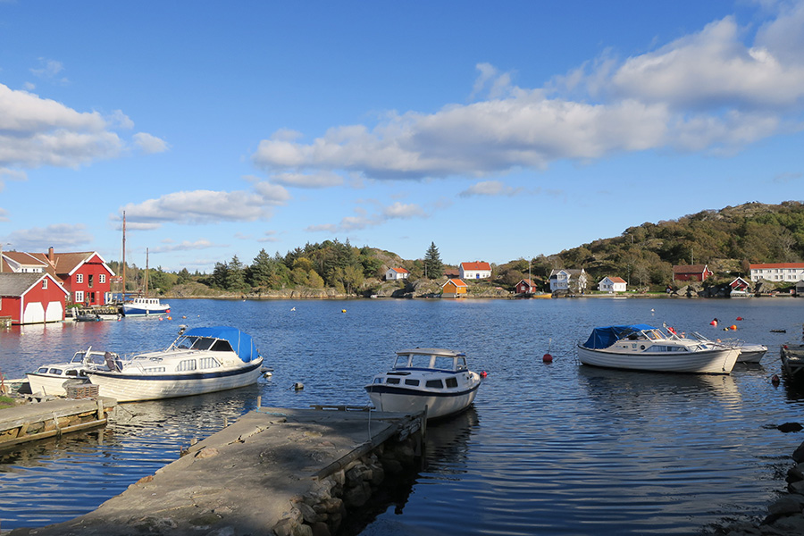 Ferienhaus Skjernøya
