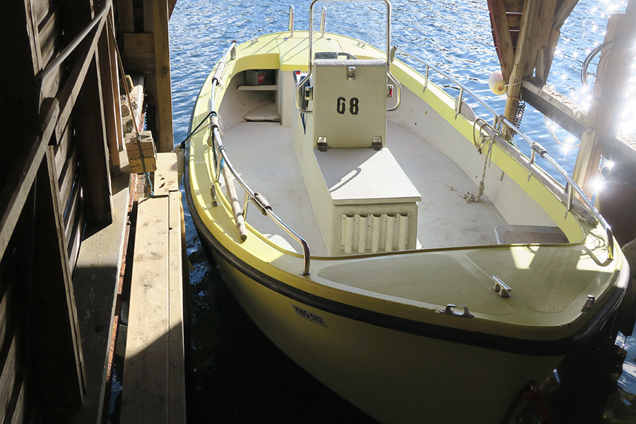 Ferienhaus Skjernøya