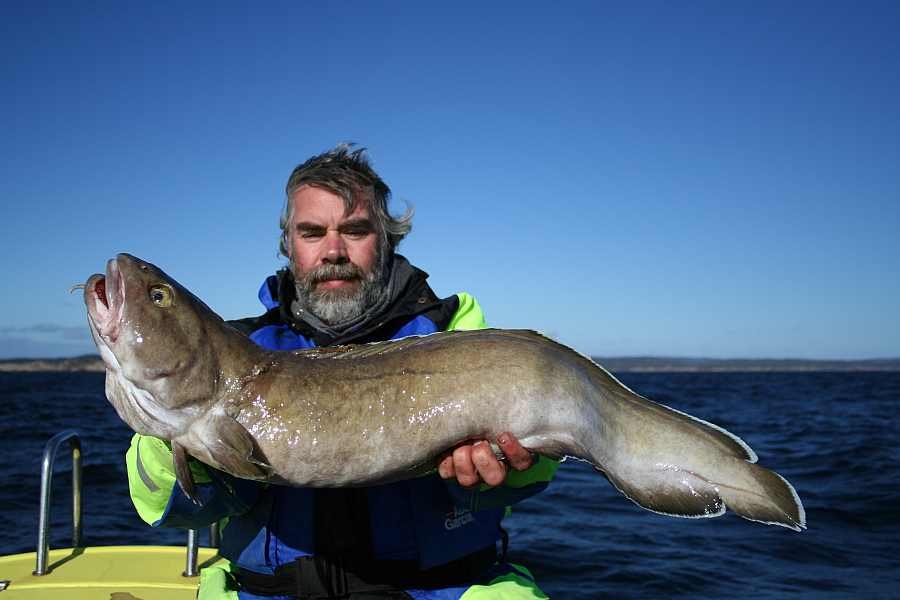 Hier gibt es viele kapitale Lumb