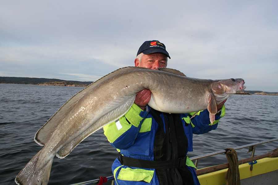 Schon nicht schlecht!