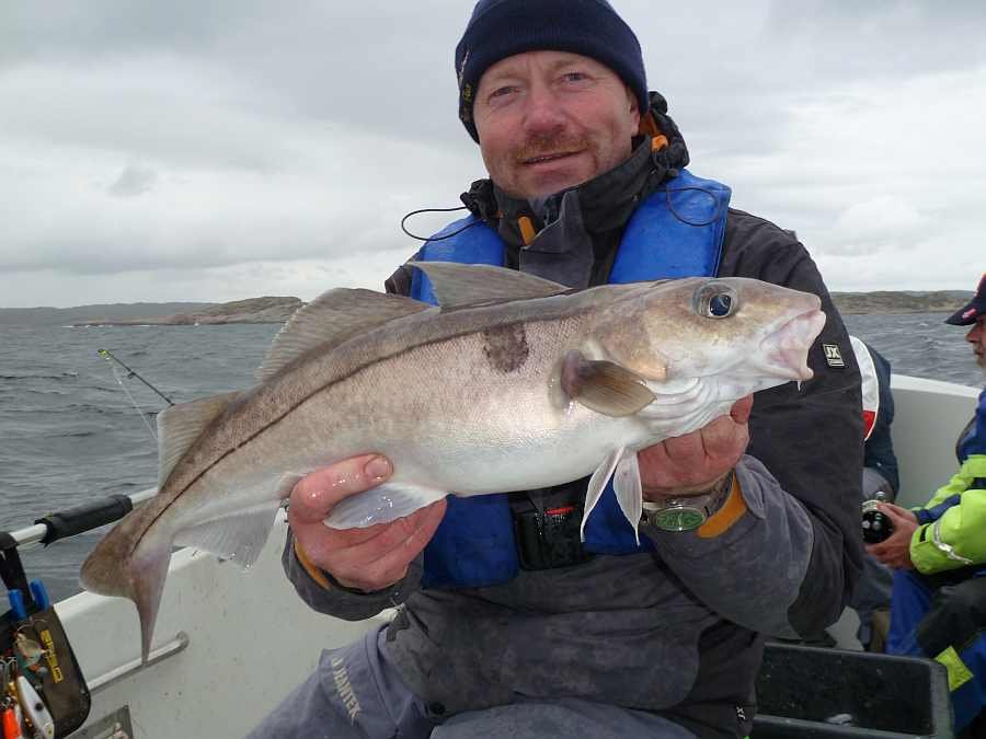 Schöner Schellfisch auf 70 m