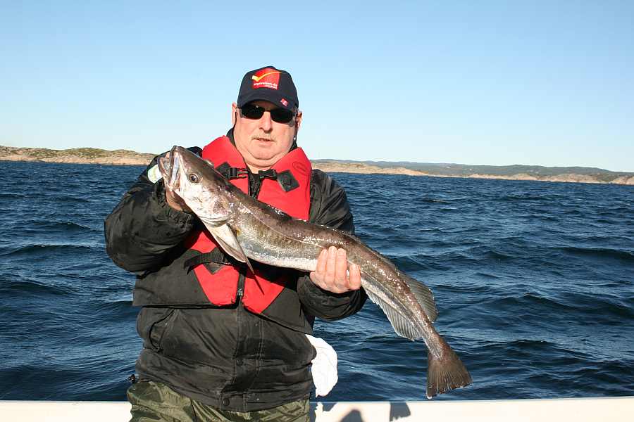 Seehecht aus 60 m Tiefe