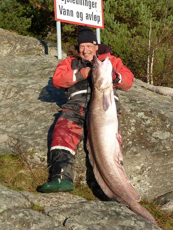 Keine großen Leng in Südnorwegen? Dieser Fisch wog satte 24,4 kg!