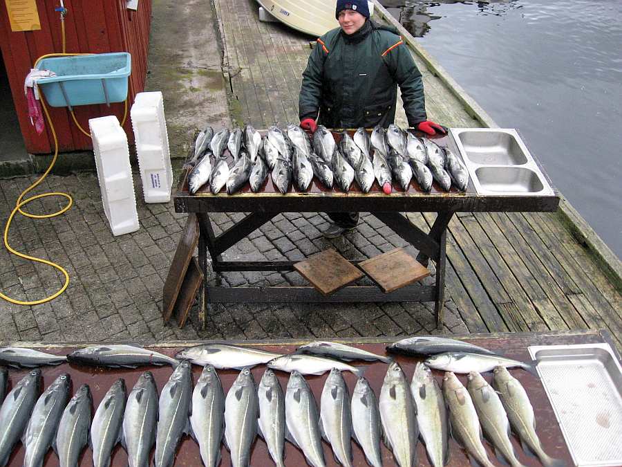 Die Köhler waren da!