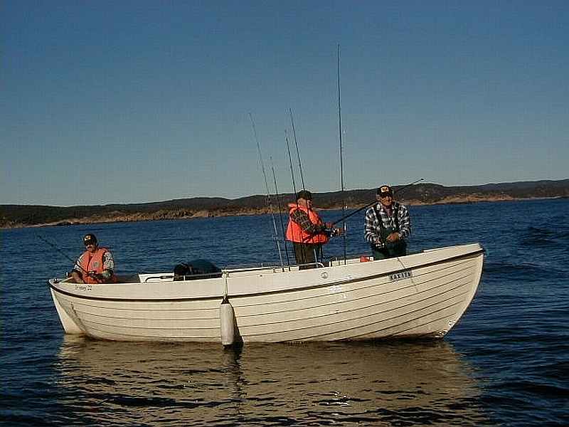 Das Dieselboot bietet ausreichend Platz für bis zu 4-6 Personen.