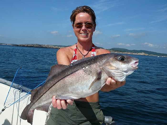 Was für ein Schellfisch!