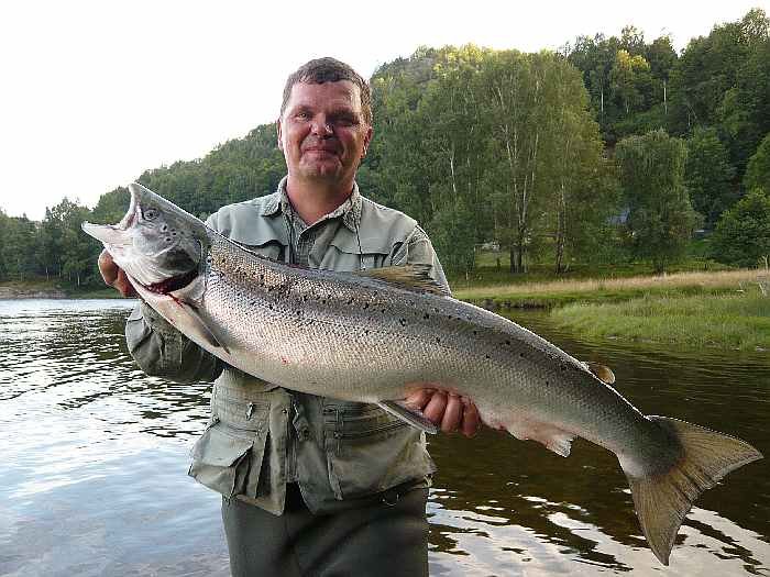 In der Nähe von Trysnes befinden sich mehrere Top Lachsflüsse.