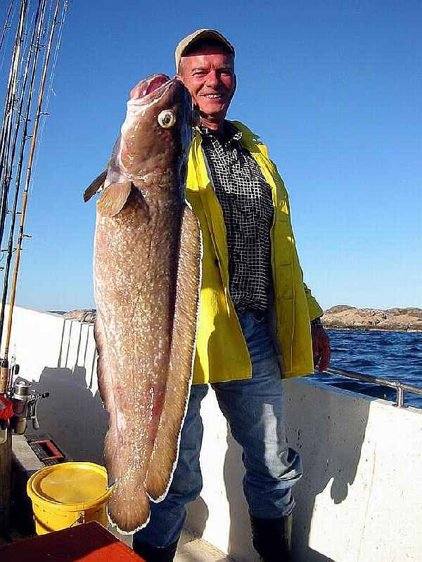 Natköderangler kommen hier auf Ihre Kosten.