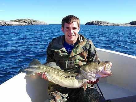 Vor allem in Frühjahr werden viele Dorsche gefangen.