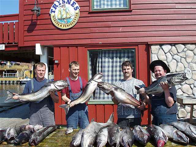 Tolle Strecke! Hat man eine Topstelle gefunden geht es Schlag auf Schlag.