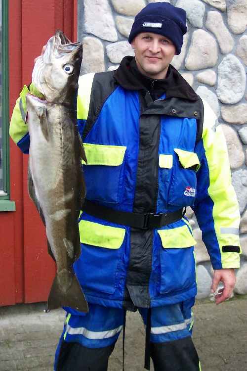 Pollacks erreichen hier in Südnorwegen kapitale Größen.