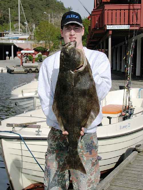 Auch Heilbutt kann man hier fangen.