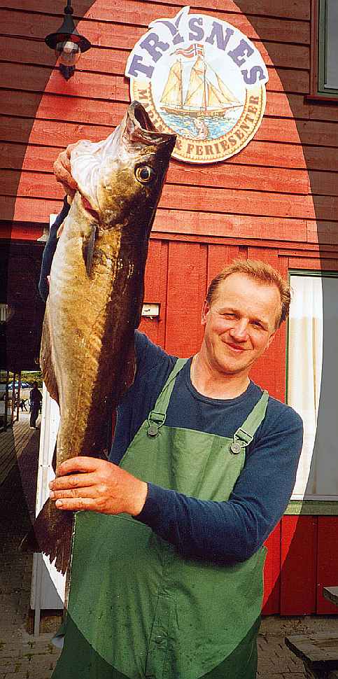 Glücklicher Trysnes Gast.