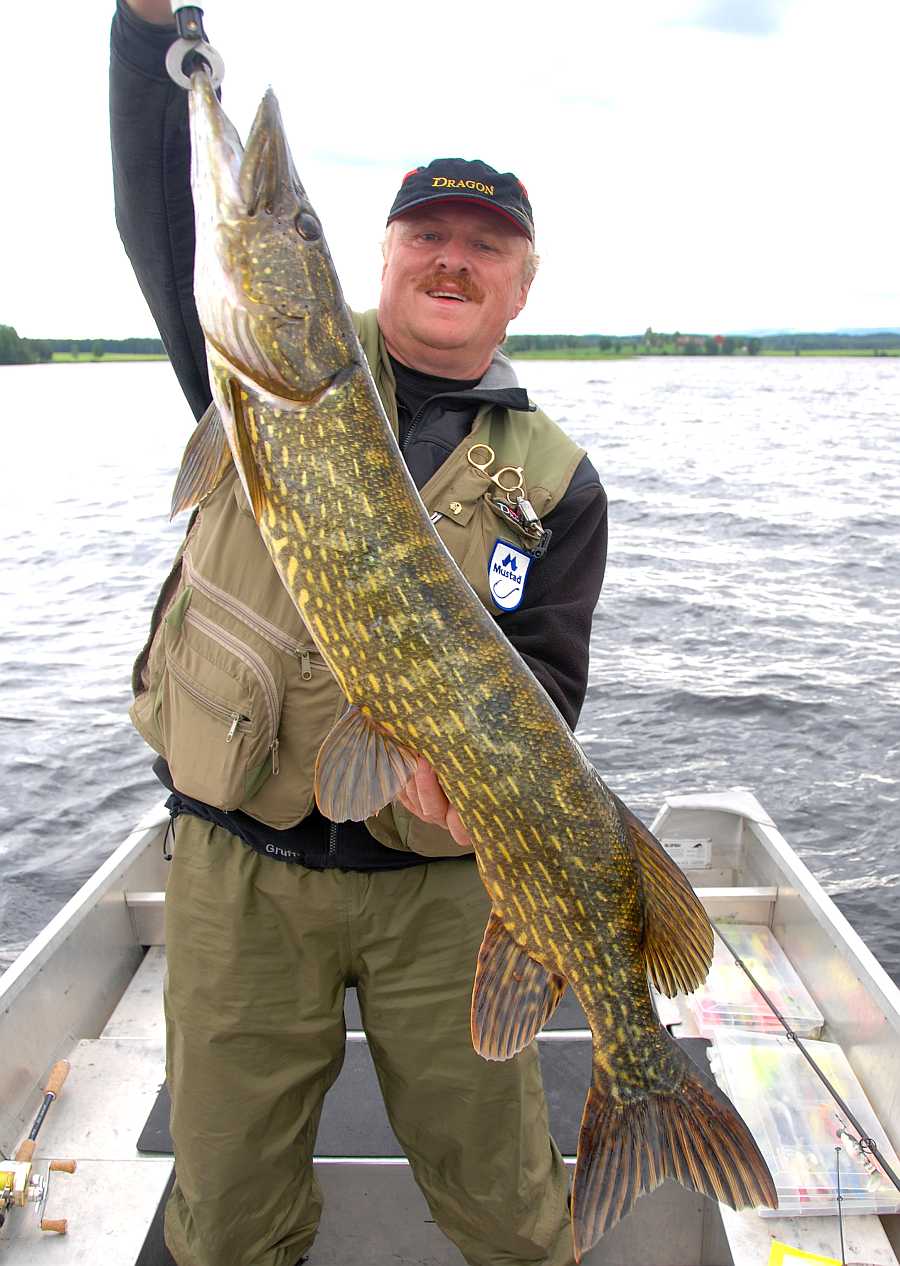 Meterware aus dem Randsfjorden